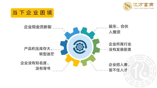 海外上市企業(yè)管理與免費(fèi)企業(yè)培訓(xùn) 軟件開發(fā)領(lǐng)域的億萬富商之道